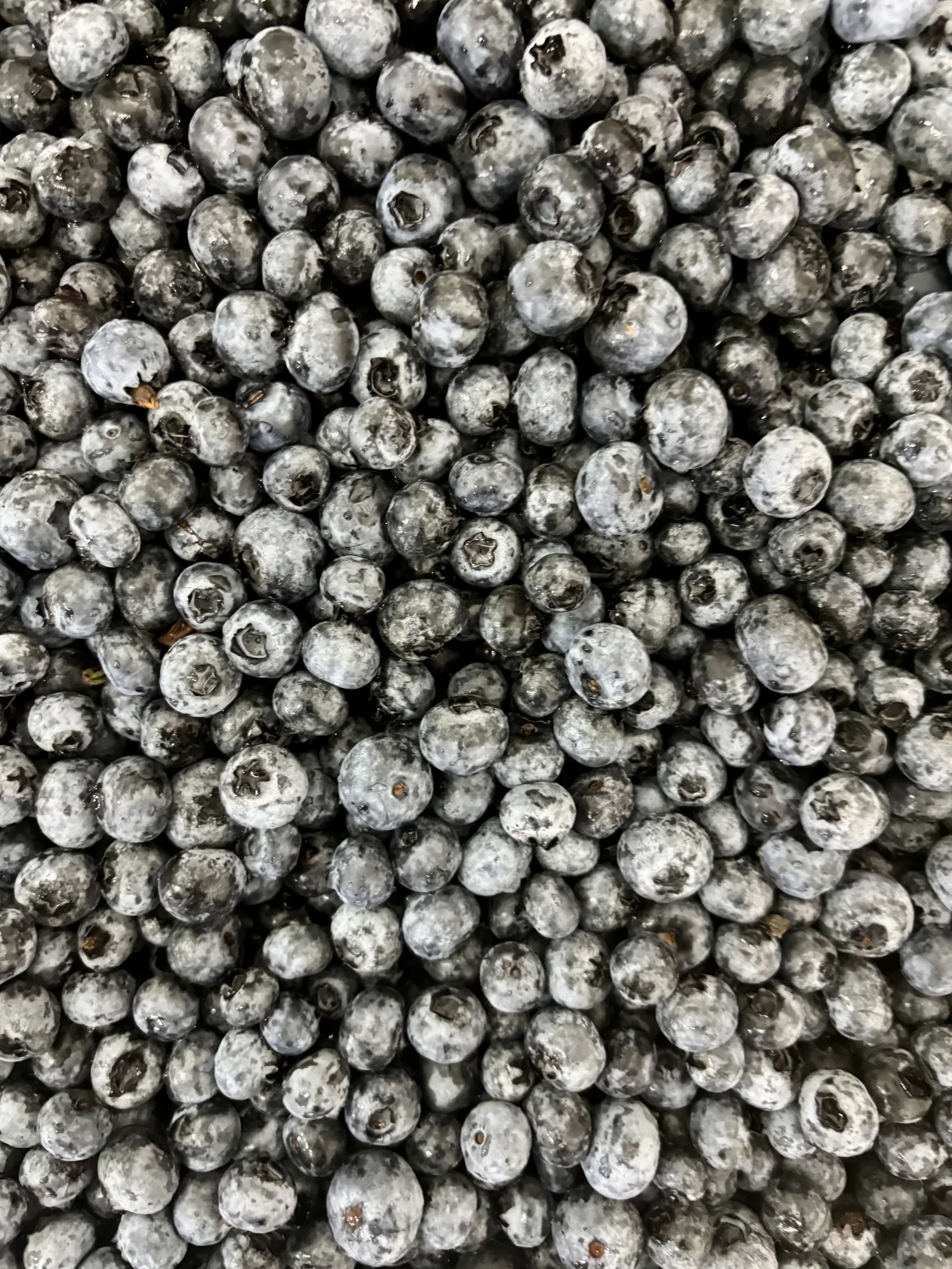 Frozen blueberries with visible frost