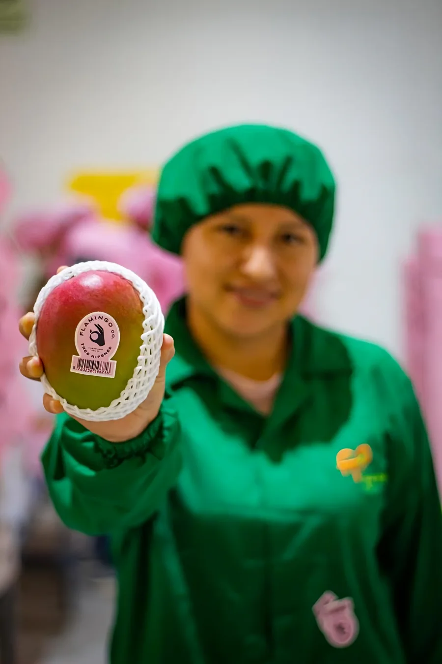 Fresh mango held by a Frutos Tropicales team member