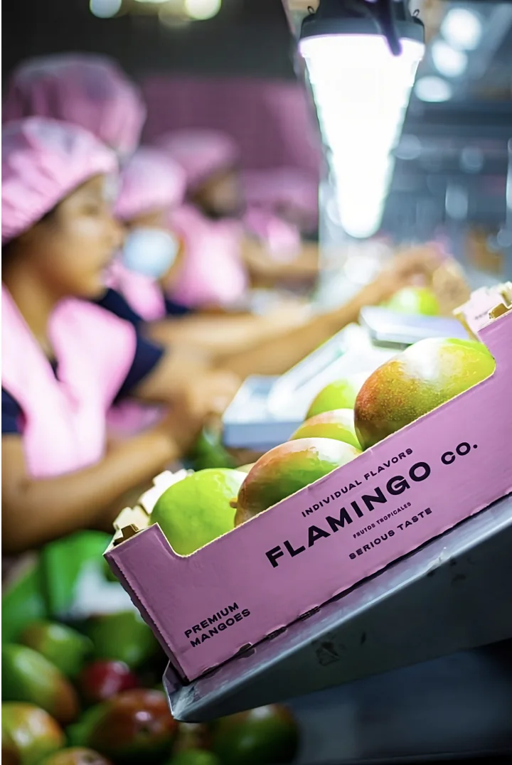 Flamingo fruit packing, connecting origin with European markets