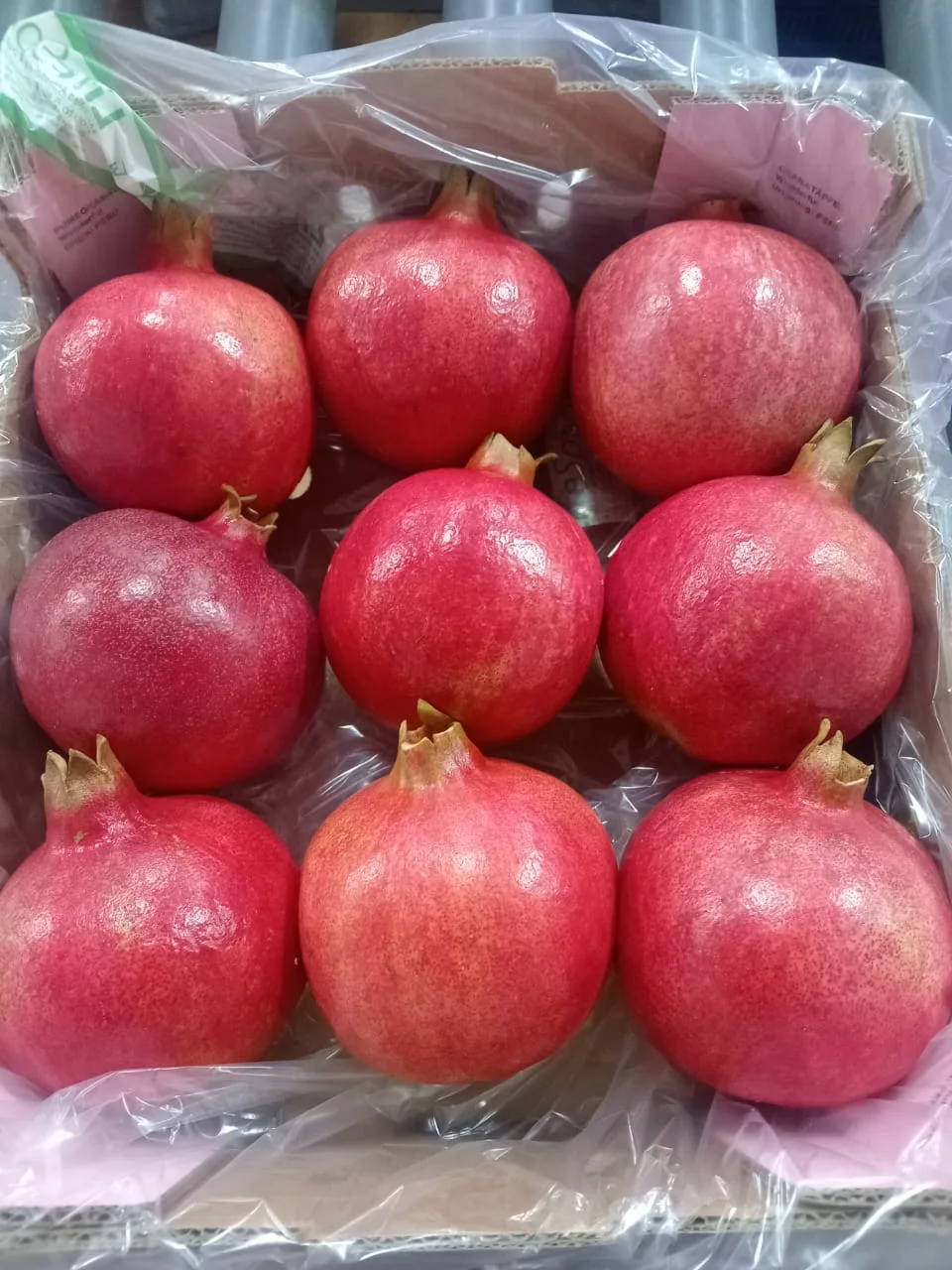 Fresh fruit selected for Flamingo coconut water