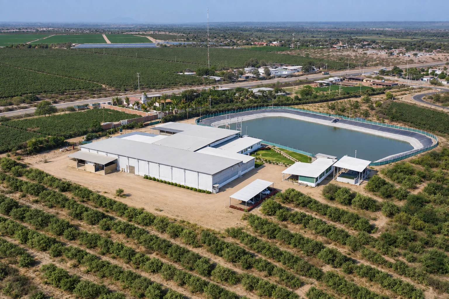 Aerial view of the Flamingo packing facility and orchards