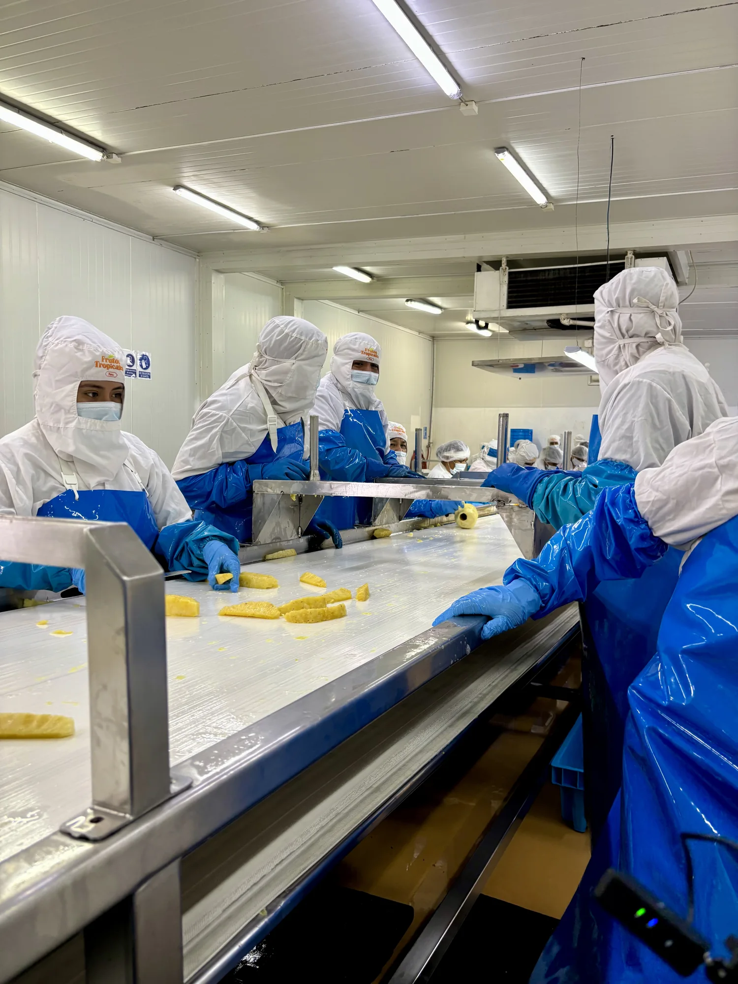 Team working in a fruit processing facility