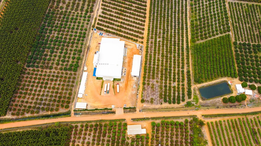 Aerial view of a packing facility surrounded by orchards