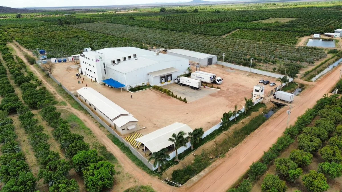 Packing facility surrounded by fruit plantations