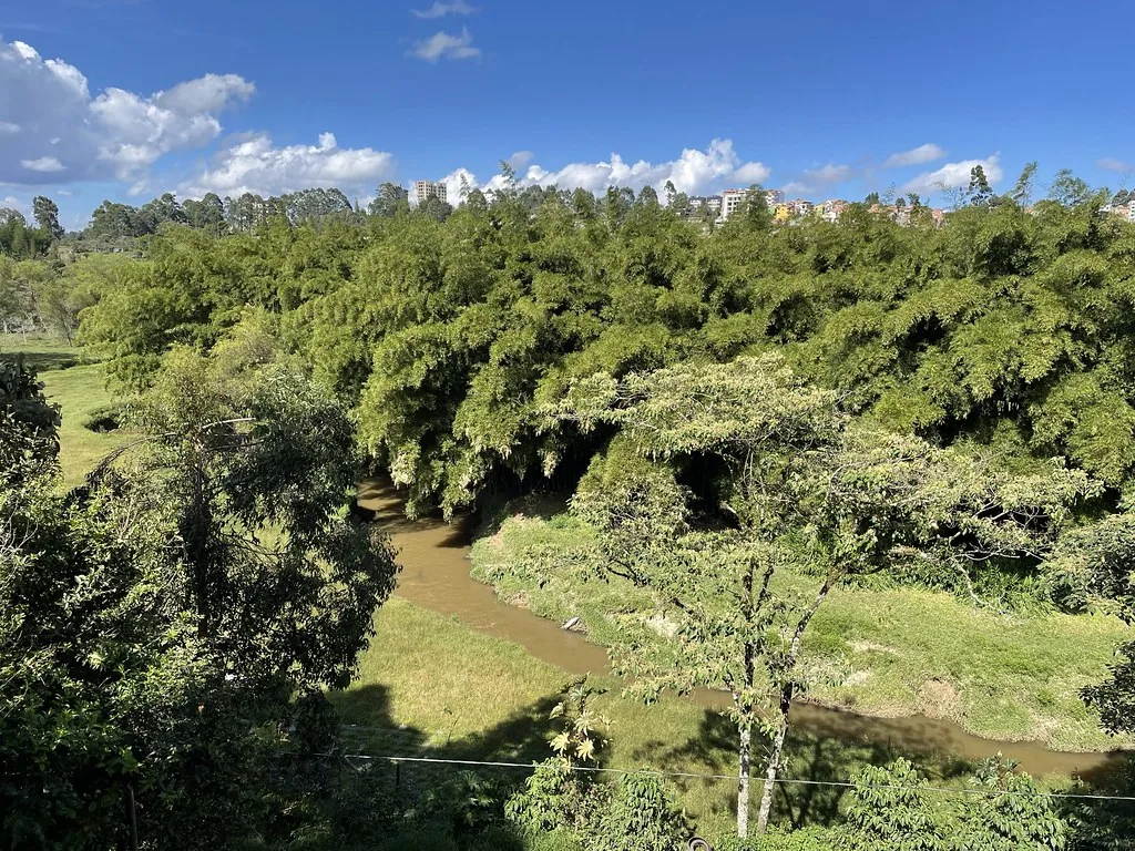 Aerial view of a green agricultural landscape and waterways