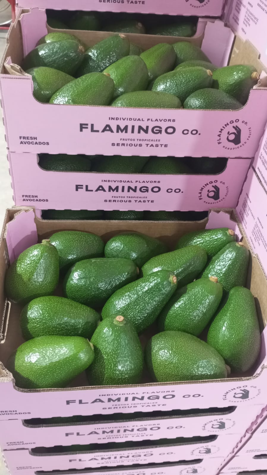 Avocados packed in Flamingo-branded produce cartons